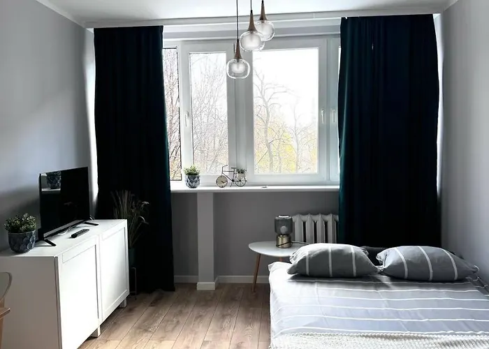 Studio In The Center - Prime Location